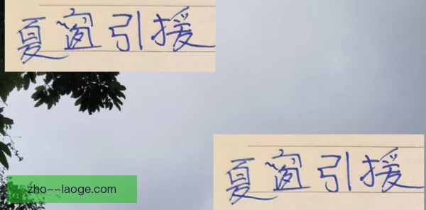 夏窗引援多位置球员引进，补强阵容瞄准新赛季